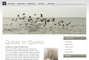 Bildschirmfoto Design Zeus.