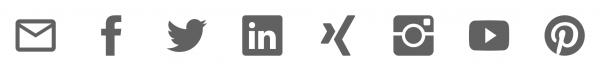 Bildschirmfoto Ausschnitt Kontaktzeile mit Social Media Icons.