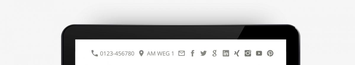 SIQUANDO Pro Web 5