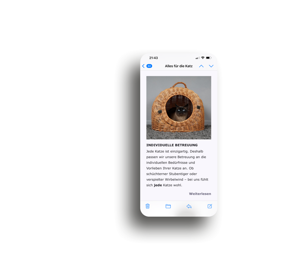 Frau schaut auf ihr Handy und betrachtet einen Newsletter.
