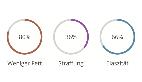 Darstellung von animierten Ringen in verschiedenen Farben zur Darstellung von Prozentwerten.