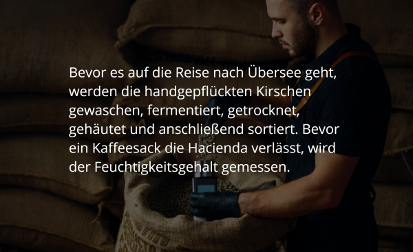 Darstellung großer Text auf abgedunkeltem Hintergrund.