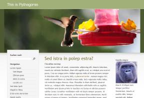 Bildschirmfoto Design Pythagoras.