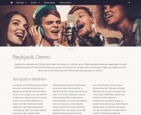 Bildschirmfoto Design Reykjavik.