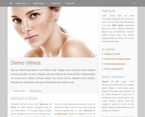 Bildschirmfoto Design Vilnius.