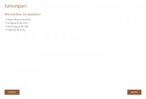 Bildschirmfoto Zahlungsart.