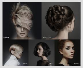 Bildschirmfoto Absatzmodul Bilder.