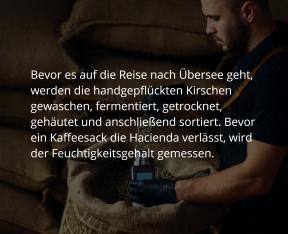 Bildschirmfoto Absatzmodul Scroll F/X Text.