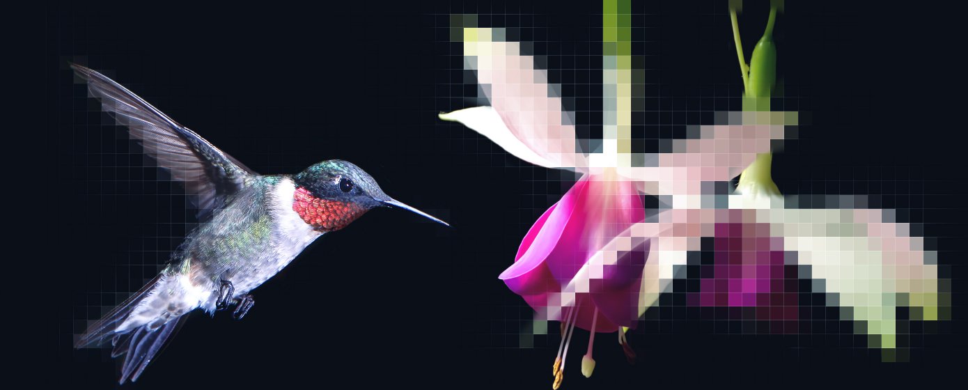 Scharfer Vogel neben unscharfer Blume.