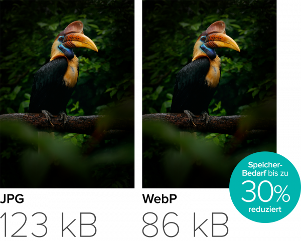 Grafik zweier Bilder mit jpeg und Webp gleicher Qualität um verschiedenen Speicherbedarf darzustellen.