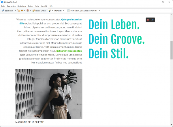 Neu in Pro Web 6