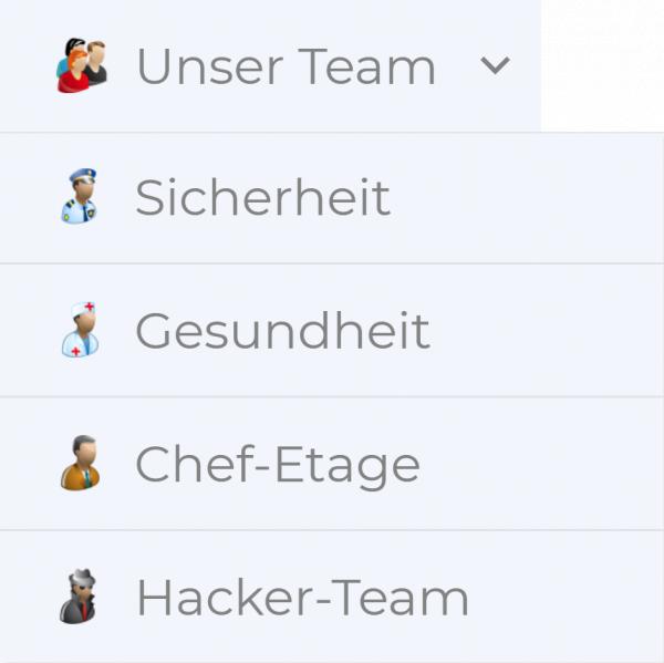Bildschirmfoto Ausschnitt Menü mit Symbolen.