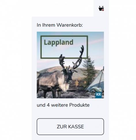 Bildschirmfoto Ausschnitt Warenkorb Menü.
