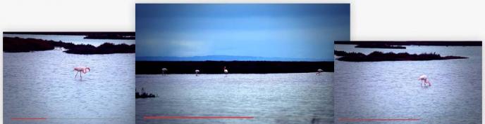 Bildschirmfoto Frame aus Video Pack – Mix II .