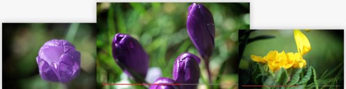 Bildschirmfoto Frame aus Video Pack – Springtime.