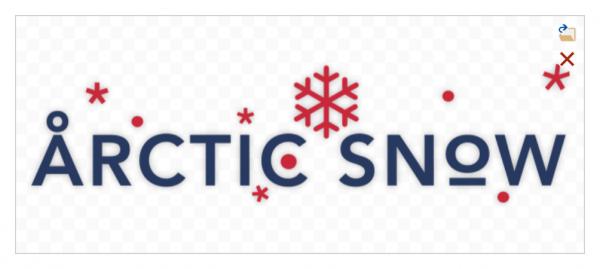 Bildschirmfoto Ausschnitt Logo-Editor.