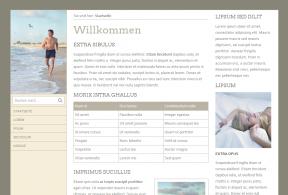 Bildschirmfoto Design Chicago.