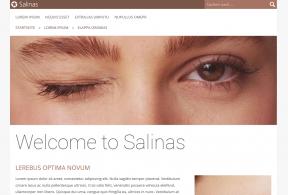 Bildschirmfoto Design Salinas.