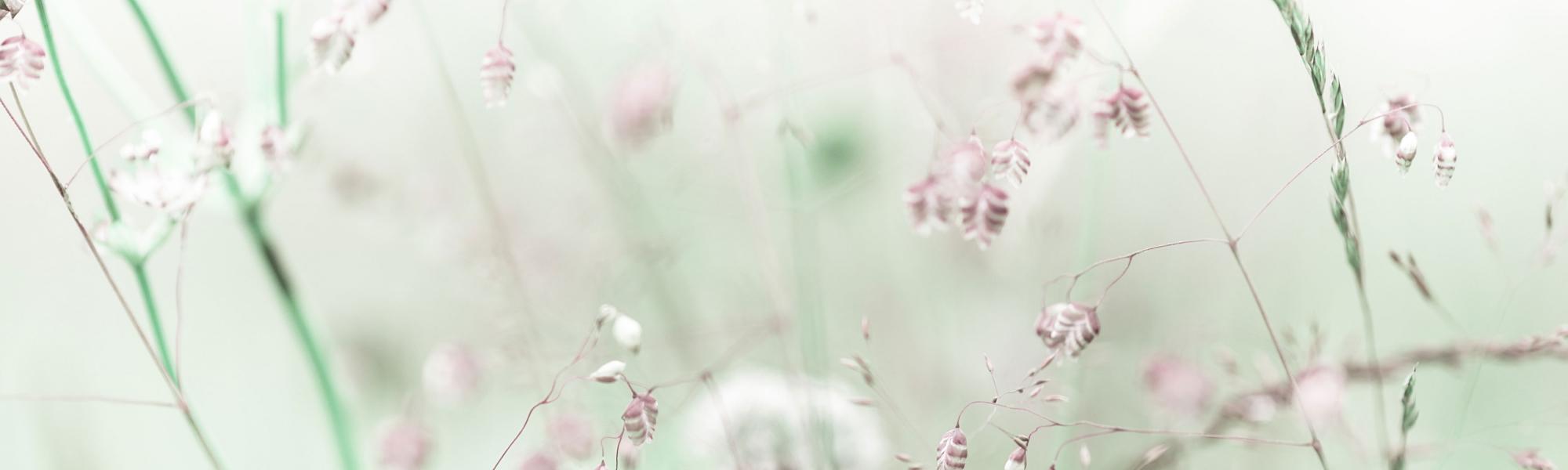 Hintergrund von Design Opto.