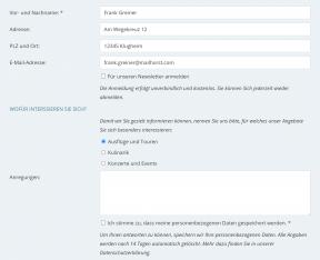 Bildschirmfoto Absatzmodul Formular.