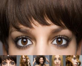 Bildschirmfoto Absatzmodul Inline Galerie.