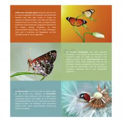 Vorschaubild Absatzmodul Text/Bild Split.