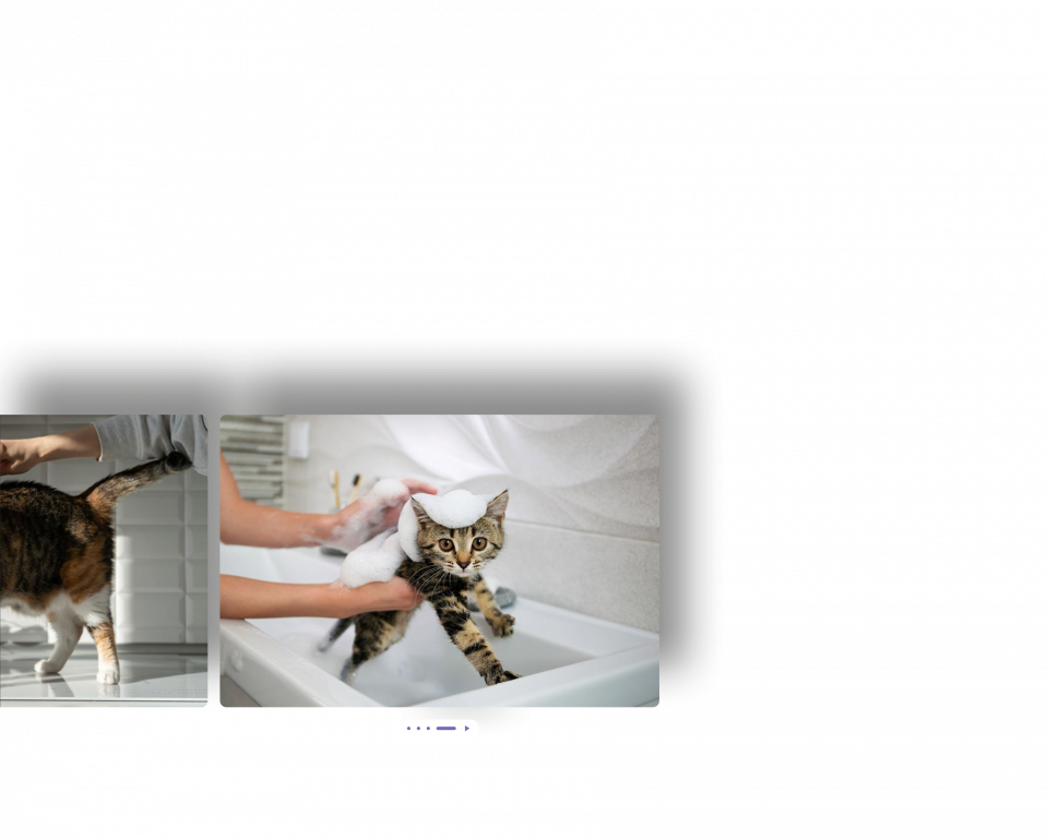 Bewegte Collage aus verschiedenen Bildschirmfotos vom neuen Design Hello II.