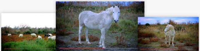 Bildschirmfoto Frame aus Video Pack – Mix.