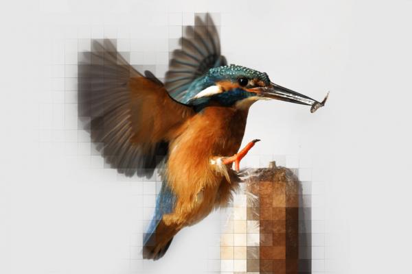 Vorschaubild Erweiterung Photo Pack PLUS Pro 9.