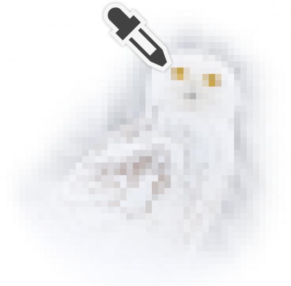 Bildschirmfoto Ausschnitt Farbsammler.