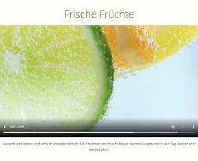 Bildschirmfoto Absatzmodul HTML5 Video.