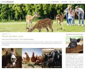 Bildschirmfoto Design Cetera.