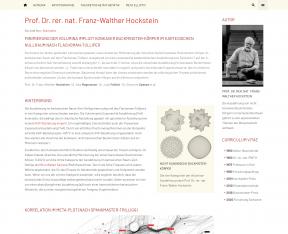 Bildschirmfoto Design Hockstein.