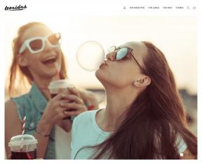 Bildschirmfoto Design Leonidas.