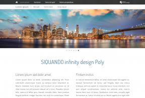 Bildschirmfoto Design Poly.