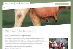 Bildschirmfoto Design Temecula.