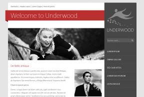 Bildschirmfoto Design Underwood.