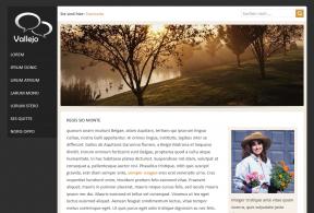 Bildschirmfoto Design Vallejo.