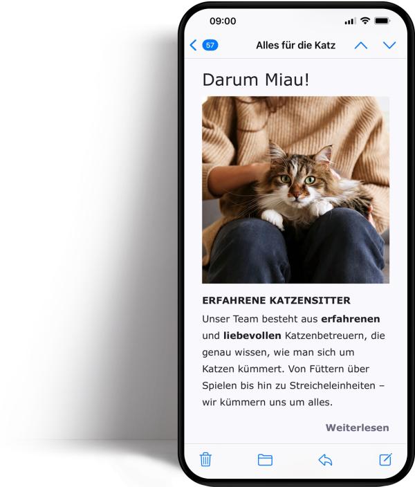 Smartphone auf dem man einen Newsletter mit Absatztyp Call to Action sieht.