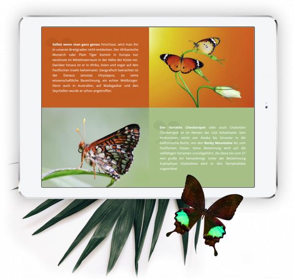 Archiv Pro Web 3