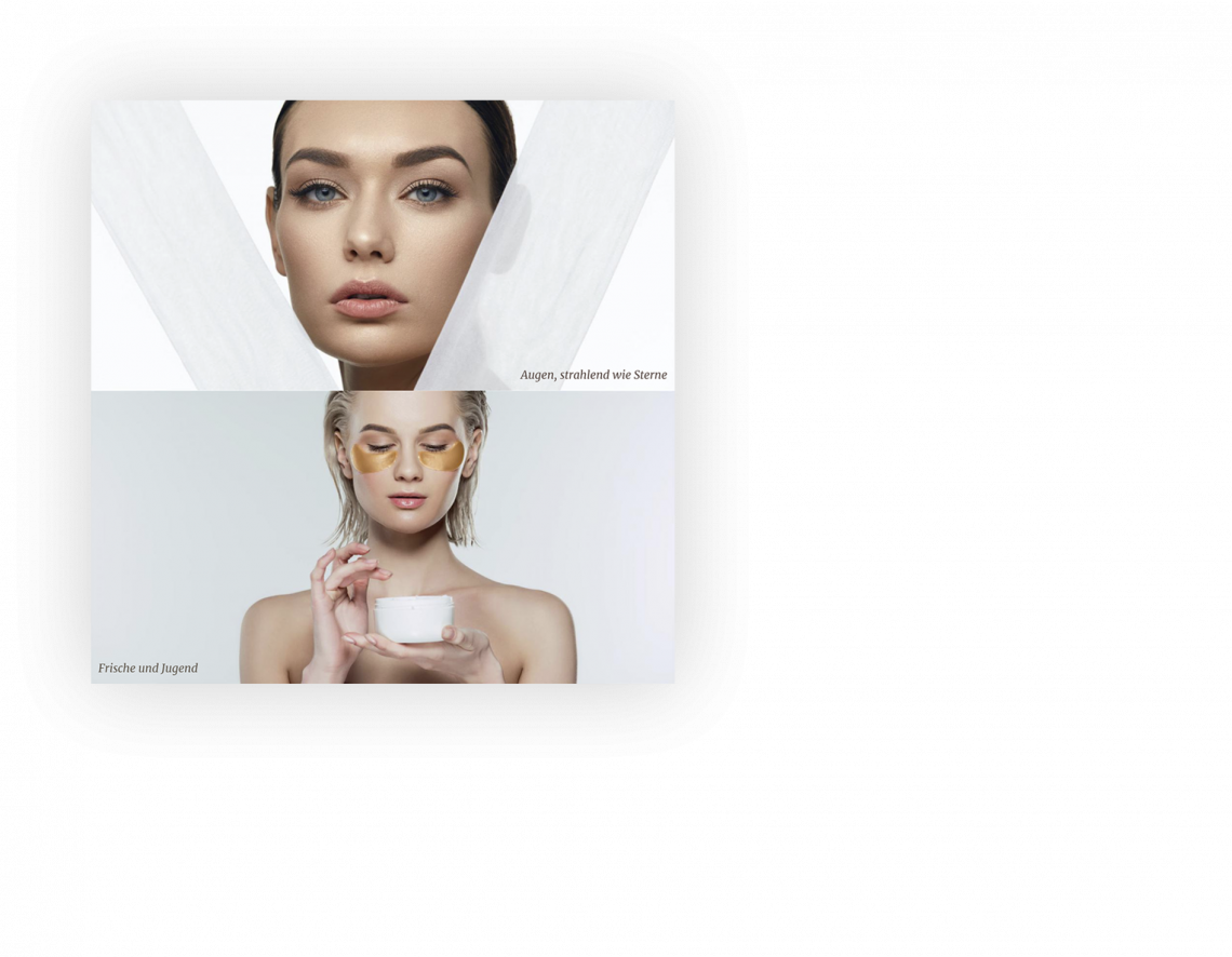 Archiv Pro Web 3