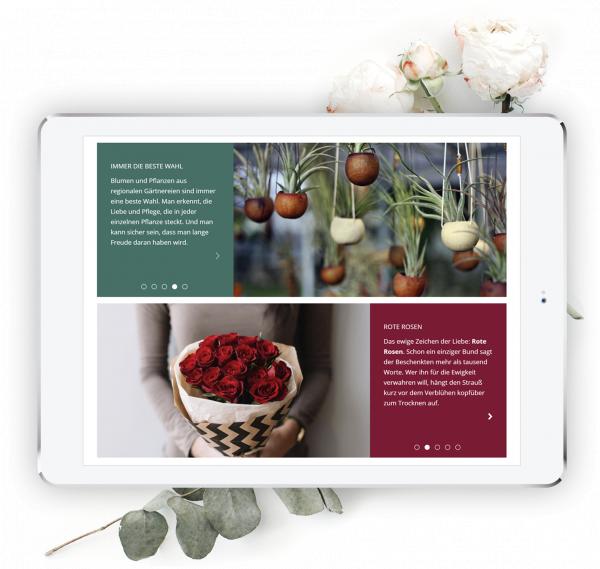Archiv Pro Web 3