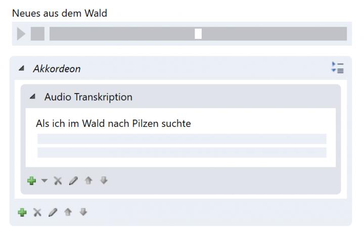 Bildschirmfoto Anzeige Transkription.