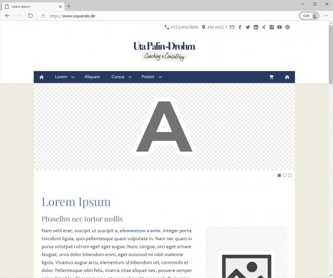 Bildschirmfotos Designvorschau im Browser.