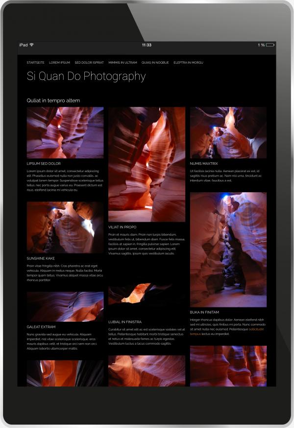 Tablet mit Bildschirmfoto des Design Ansel.