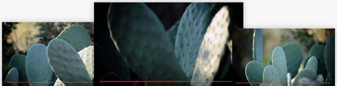Bildschirmfoto Frame aus Video Pack – Dramatic Detail.